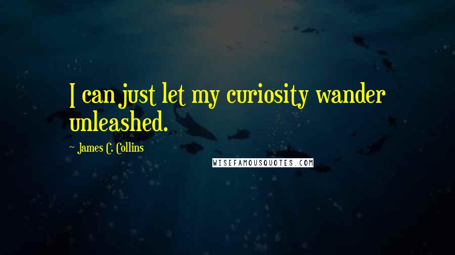 James C. Collins Quotes: I can just let my curiosity wander unleashed.