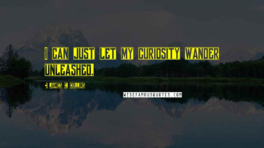 James C. Collins Quotes: I can just let my curiosity wander unleashed.