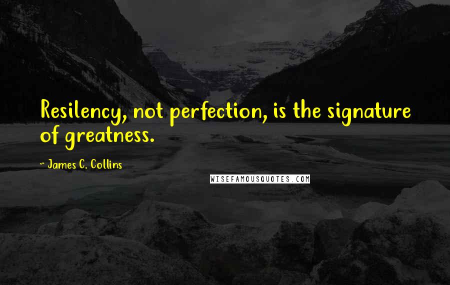 James C. Collins Quotes: Resilency, not perfection, is the signature of greatness.