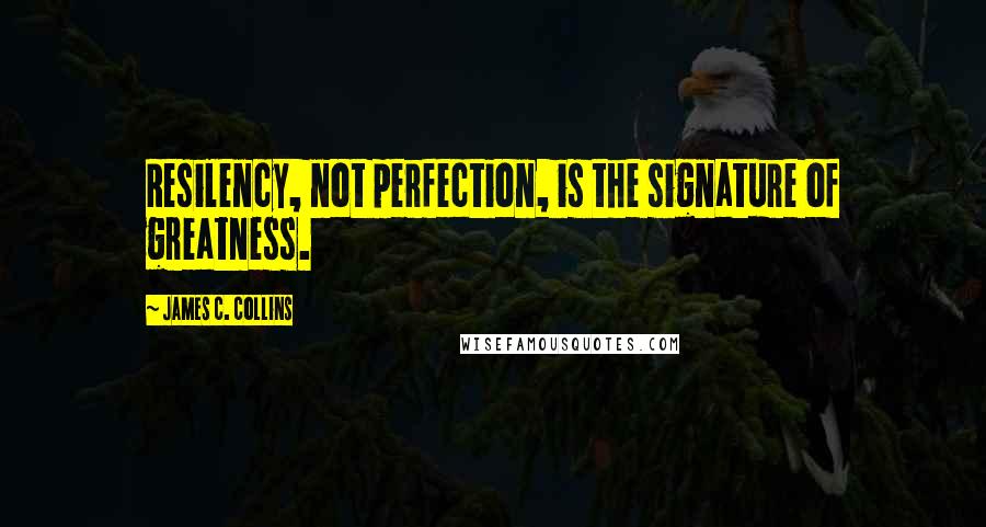 James C. Collins Quotes: Resilency, not perfection, is the signature of greatness.