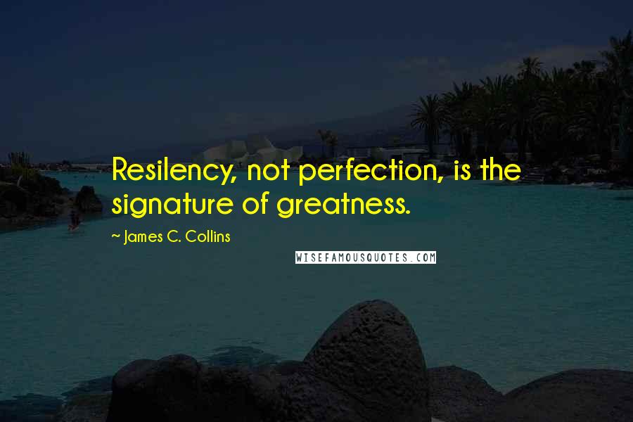 James C. Collins Quotes: Resilency, not perfection, is the signature of greatness.