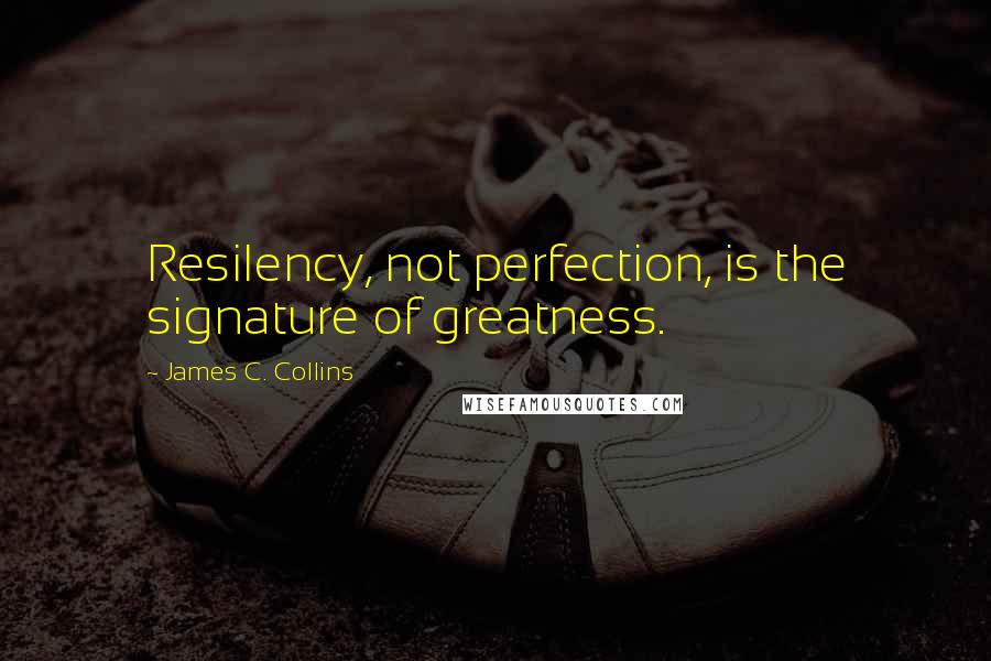 James C. Collins Quotes: Resilency, not perfection, is the signature of greatness.