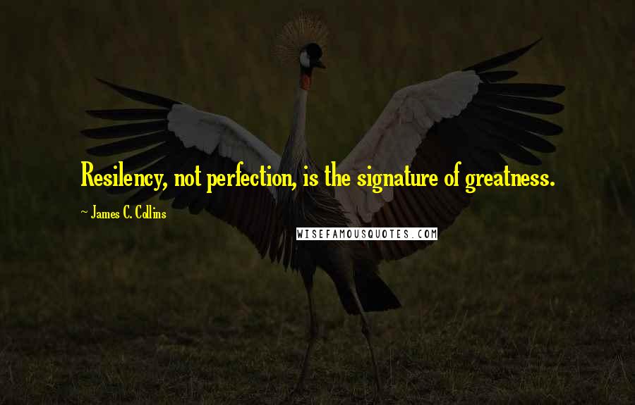 James C. Collins Quotes: Resilency, not perfection, is the signature of greatness.