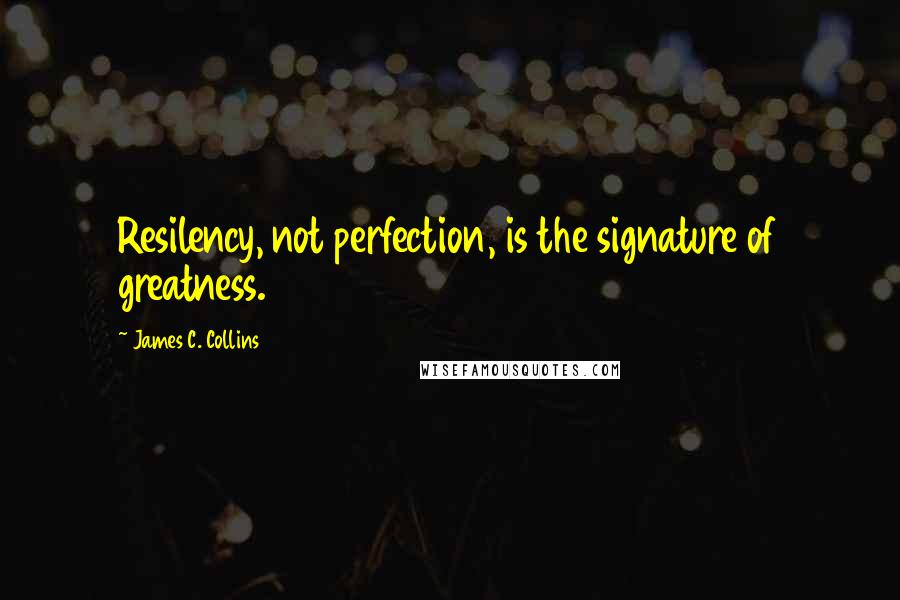 James C. Collins Quotes: Resilency, not perfection, is the signature of greatness.