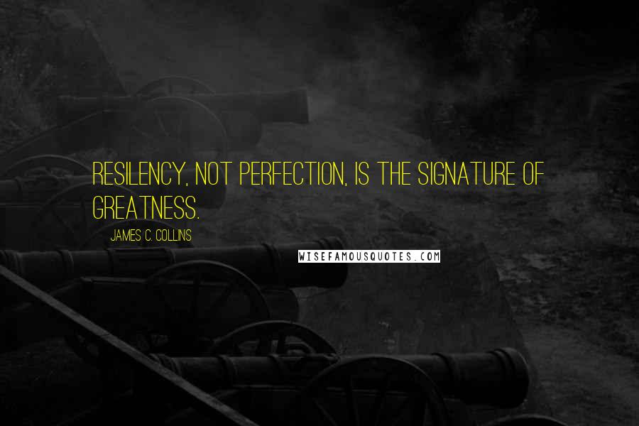 James C. Collins Quotes: Resilency, not perfection, is the signature of greatness.