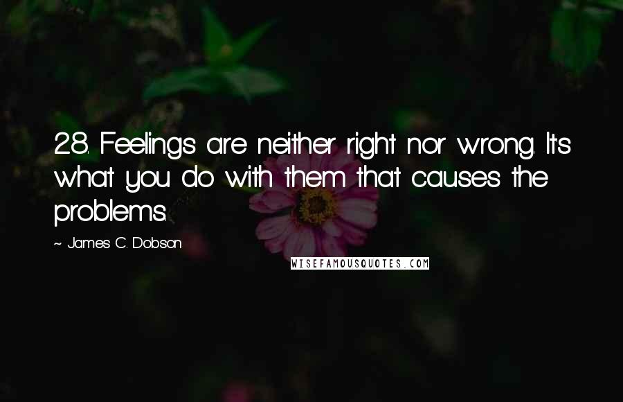 James C. Dobson Quotes: 28. Feelings are neither right nor wrong. It's what you do with them that causes the problems.