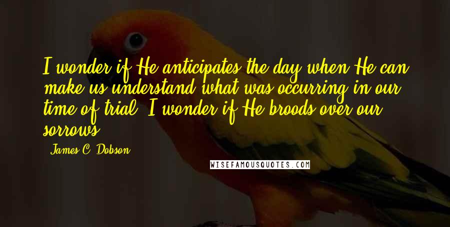 James C. Dobson Quotes: I wonder if He anticipates the day when He can make us understand what was occurring in our time of trial. I wonder if He broods over our sorrows.
