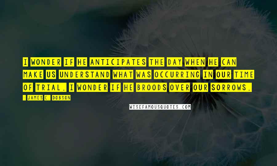 James C. Dobson Quotes: I wonder if He anticipates the day when He can make us understand what was occurring in our time of trial. I wonder if He broods over our sorrows.