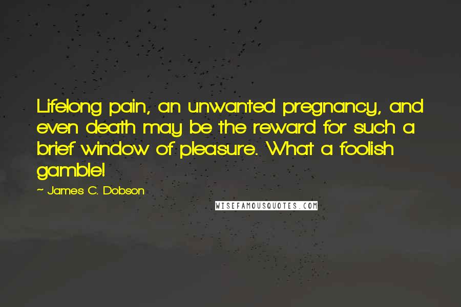 James C. Dobson Quotes: Lifelong pain, an unwanted pregnancy, and even death may be the reward for such a brief window of pleasure. What a foolish gamble!