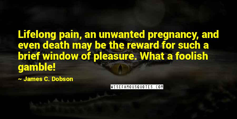 James C. Dobson Quotes: Lifelong pain, an unwanted pregnancy, and even death may be the reward for such a brief window of pleasure. What a foolish gamble!