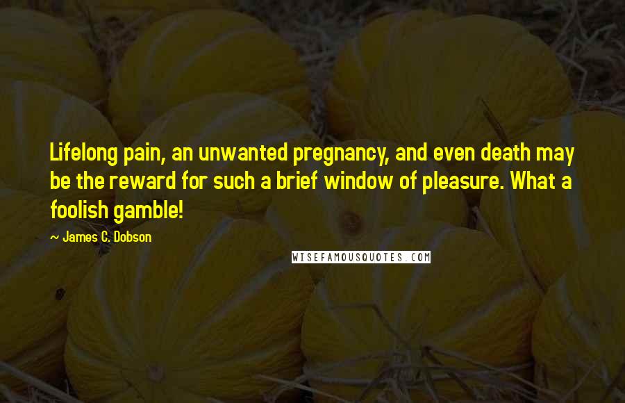 James C. Dobson Quotes: Lifelong pain, an unwanted pregnancy, and even death may be the reward for such a brief window of pleasure. What a foolish gamble!