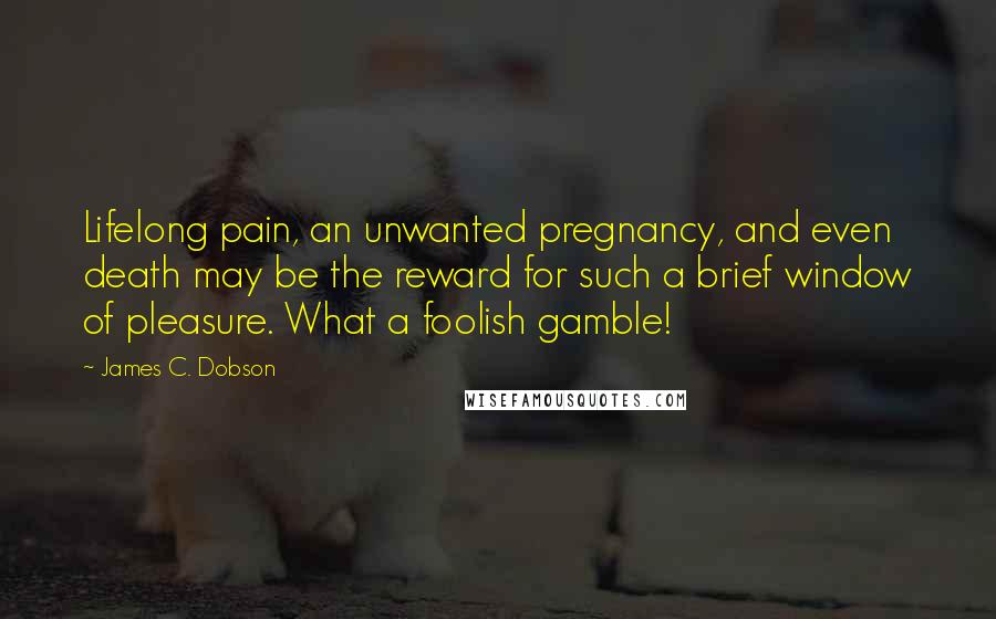 James C. Dobson Quotes: Lifelong pain, an unwanted pregnancy, and even death may be the reward for such a brief window of pleasure. What a foolish gamble!