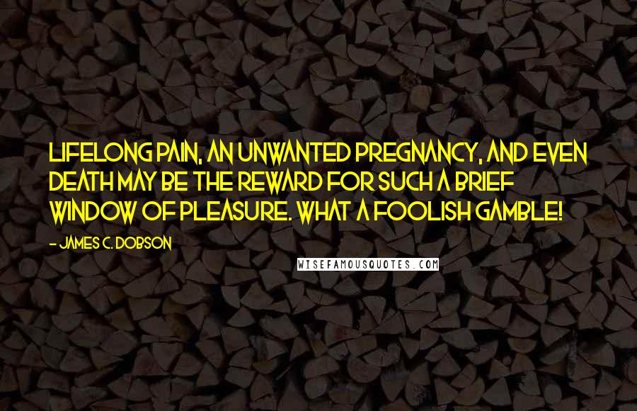 James C. Dobson Quotes: Lifelong pain, an unwanted pregnancy, and even death may be the reward for such a brief window of pleasure. What a foolish gamble!