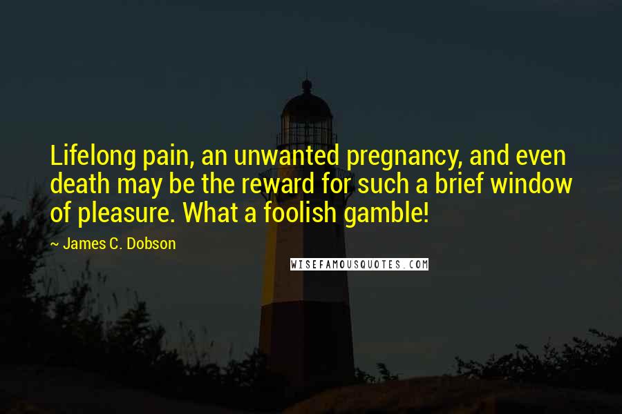 James C. Dobson Quotes: Lifelong pain, an unwanted pregnancy, and even death may be the reward for such a brief window of pleasure. What a foolish gamble!
