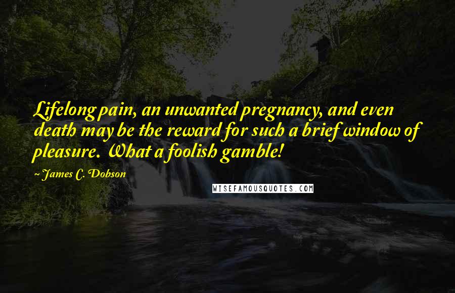 James C. Dobson Quotes: Lifelong pain, an unwanted pregnancy, and even death may be the reward for such a brief window of pleasure. What a foolish gamble!