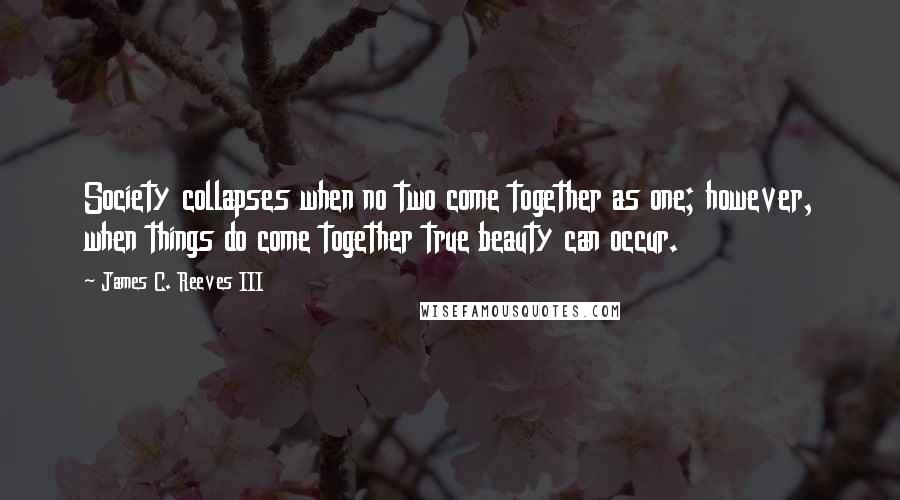 James C. Reeves III Quotes: Society collapses when no two come together as one; however, when things do come together true beauty can occur.