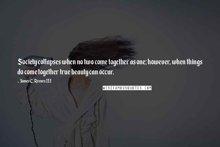 James C. Reeves III Quotes: Society collapses when no two come together as one; however, when things do come together true beauty can occur.