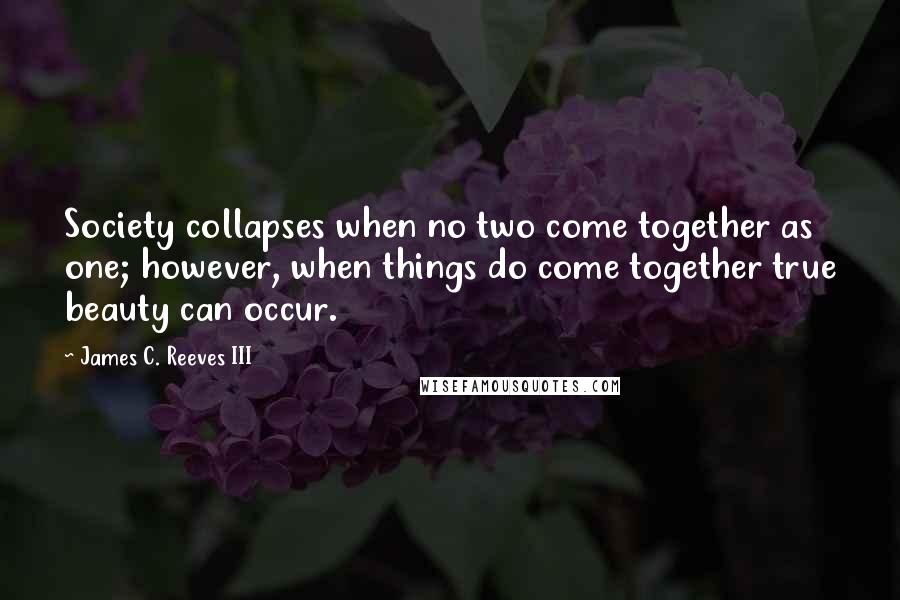 James C. Reeves III Quotes: Society collapses when no two come together as one; however, when things do come together true beauty can occur.