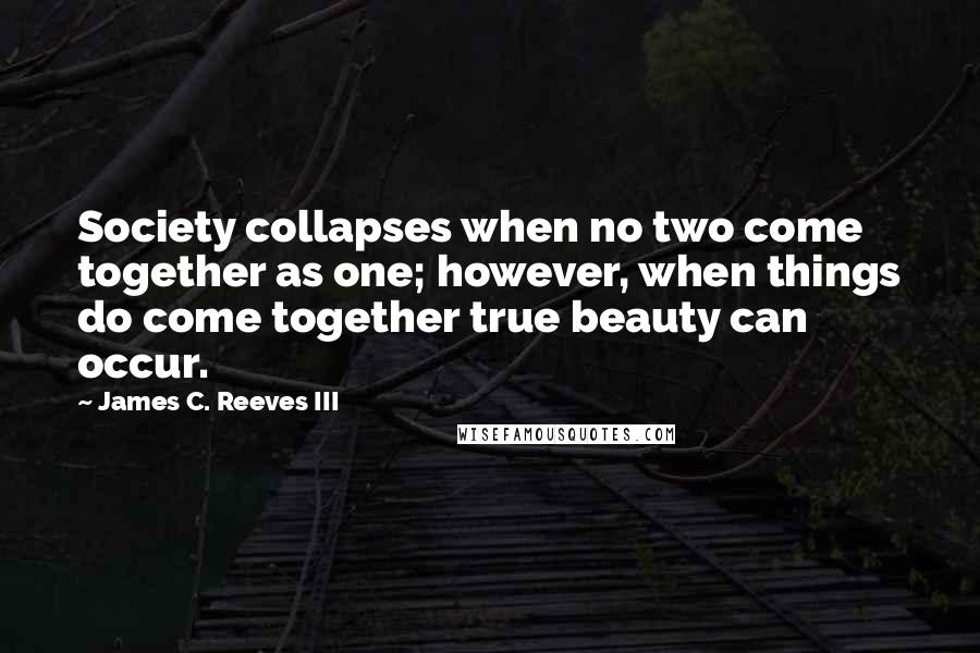 James C. Reeves III Quotes: Society collapses when no two come together as one; however, when things do come together true beauty can occur.