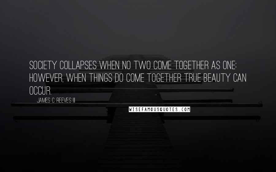 James C. Reeves III Quotes: Society collapses when no two come together as one; however, when things do come together true beauty can occur.