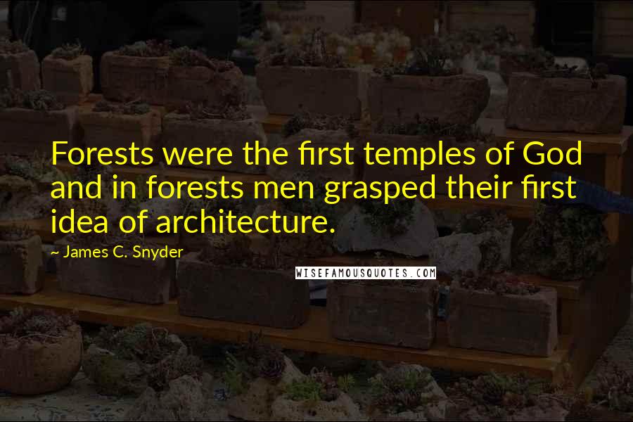 James C. Snyder Quotes: Forests were the first temples of God and in forests men grasped their first idea of architecture.