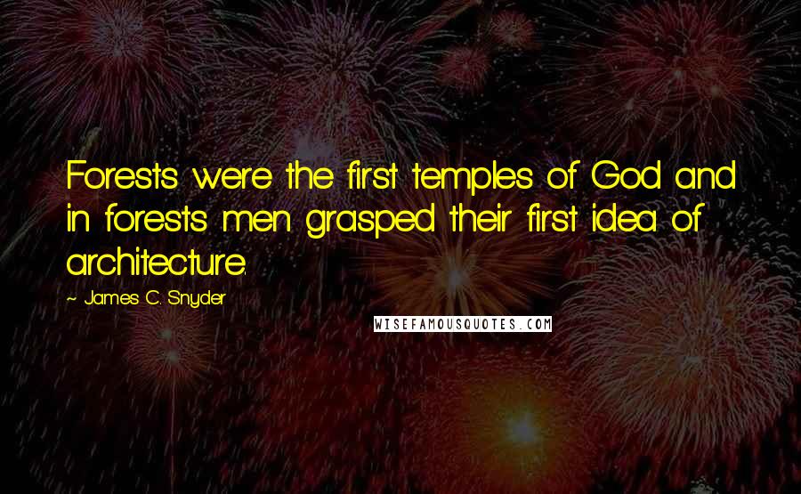 James C. Snyder Quotes: Forests were the first temples of God and in forests men grasped their first idea of architecture.