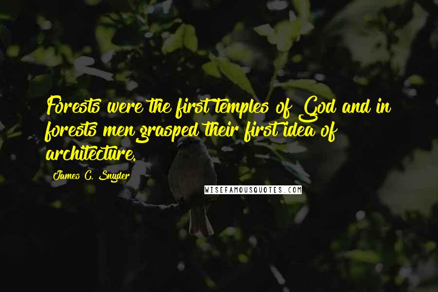 James C. Snyder Quotes: Forests were the first temples of God and in forests men grasped their first idea of architecture.