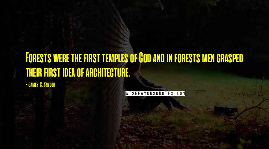 James C. Snyder Quotes: Forests were the first temples of God and in forests men grasped their first idea of architecture.