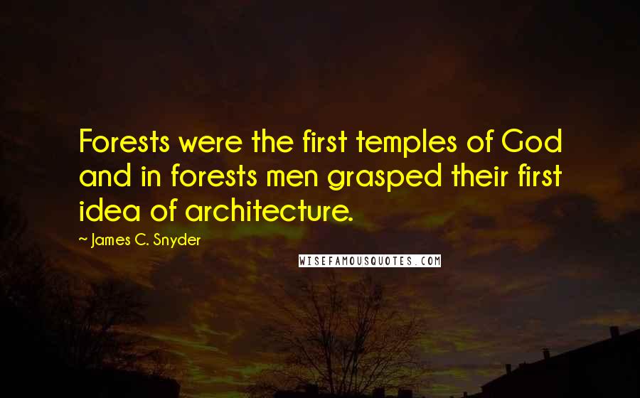 James C. Snyder Quotes: Forests were the first temples of God and in forests men grasped their first idea of architecture.