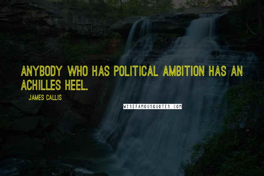 James Callis Quotes: Anybody who has political ambition has an Achilles heel.