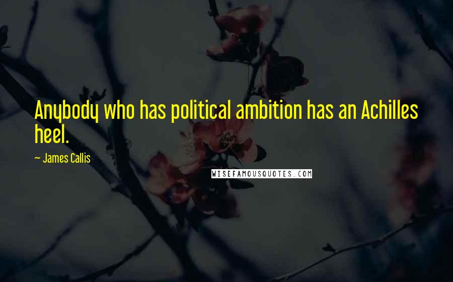 James Callis Quotes: Anybody who has political ambition has an Achilles heel.