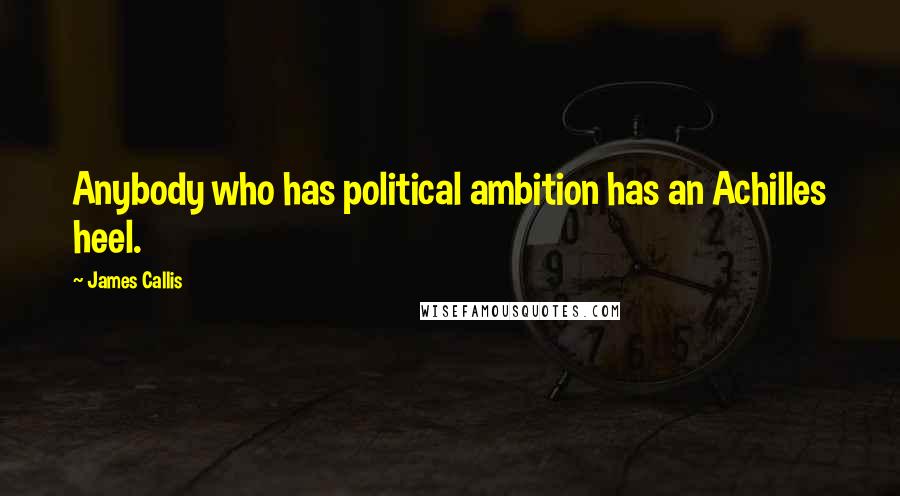 James Callis Quotes: Anybody who has political ambition has an Achilles heel.