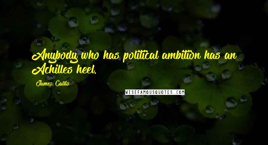 James Callis Quotes: Anybody who has political ambition has an Achilles heel.