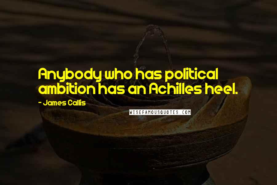 James Callis Quotes: Anybody who has political ambition has an Achilles heel.