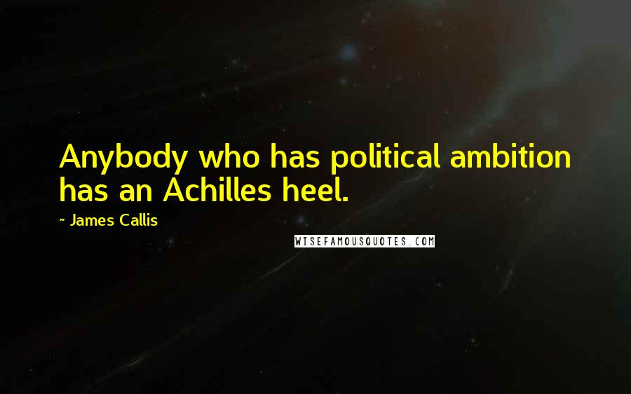 James Callis Quotes: Anybody who has political ambition has an Achilles heel.