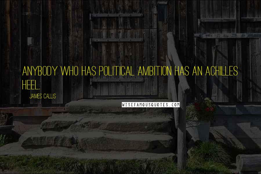 James Callis Quotes: Anybody who has political ambition has an Achilles heel.