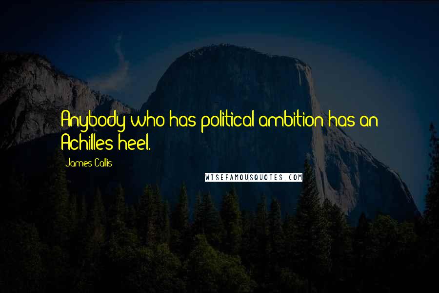 James Callis Quotes: Anybody who has political ambition has an Achilles heel.