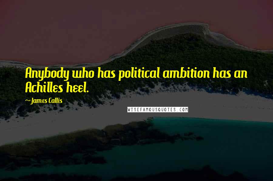 James Callis Quotes: Anybody who has political ambition has an Achilles heel.