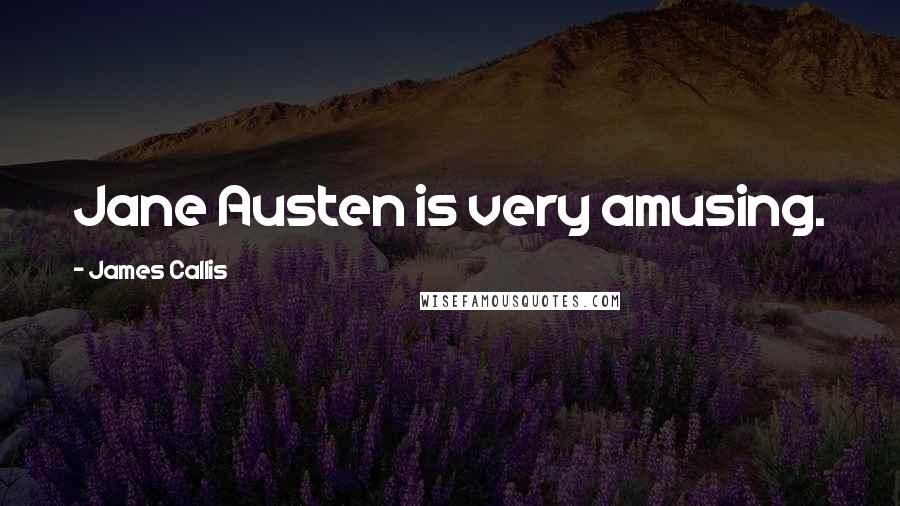 James Callis Quotes: Jane Austen is very amusing.