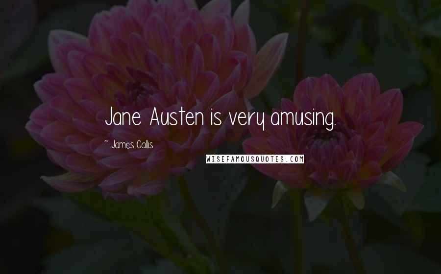 James Callis Quotes: Jane Austen is very amusing.