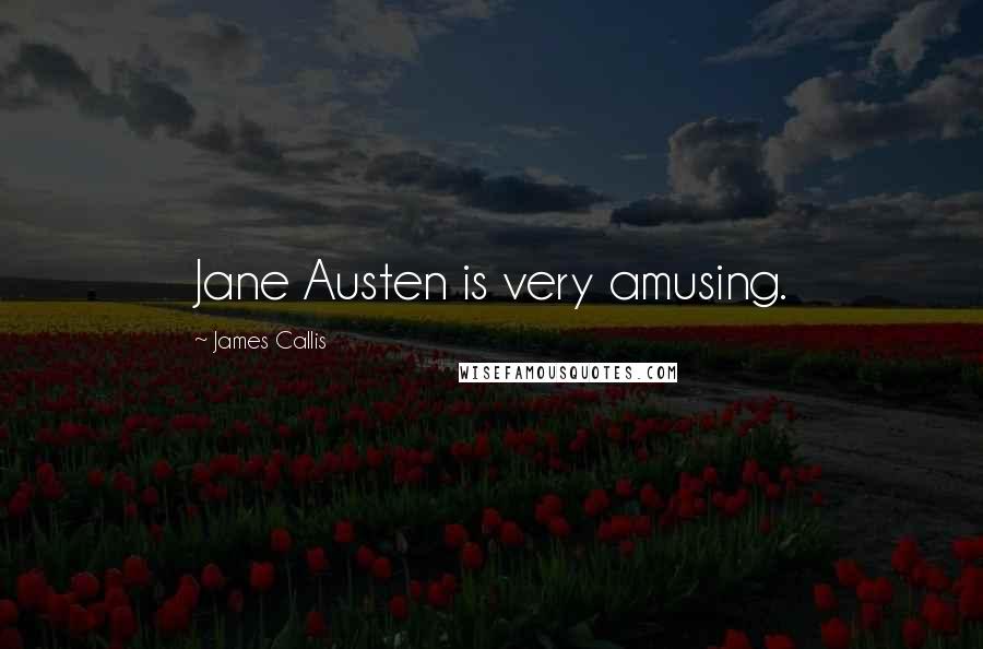 James Callis Quotes: Jane Austen is very amusing.