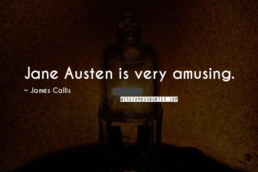 James Callis Quotes: Jane Austen is very amusing.