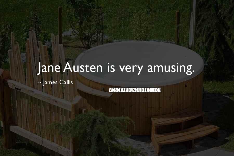 James Callis Quotes: Jane Austen is very amusing.