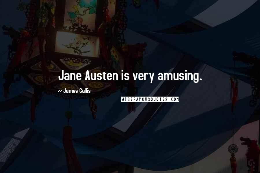 James Callis Quotes: Jane Austen is very amusing.