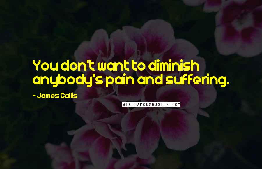 James Callis Quotes: You don't want to diminish anybody's pain and suffering.