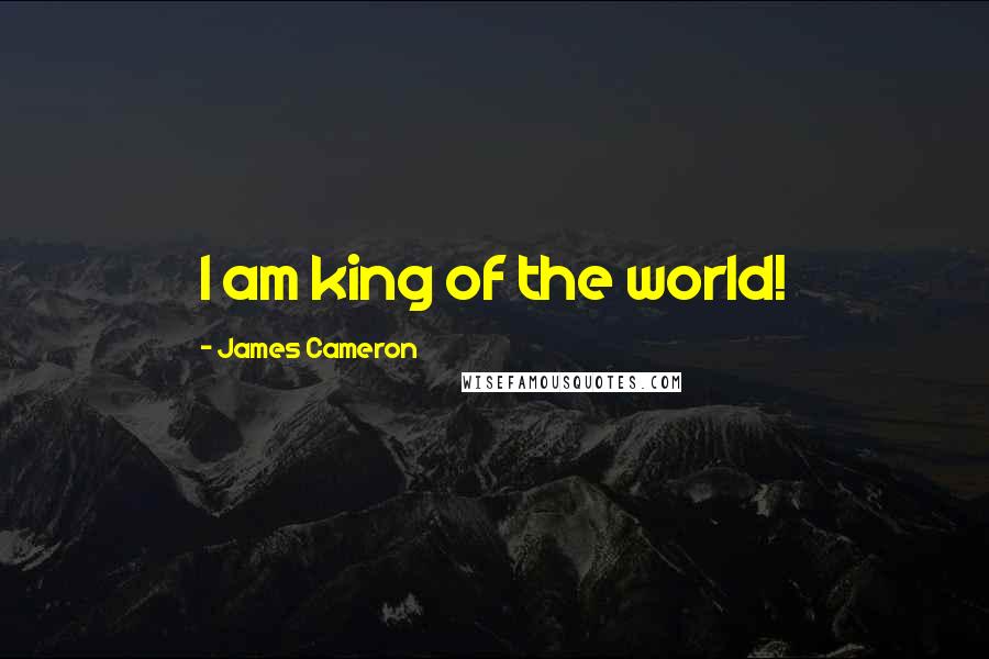 James Cameron Quotes: I am king of the world!