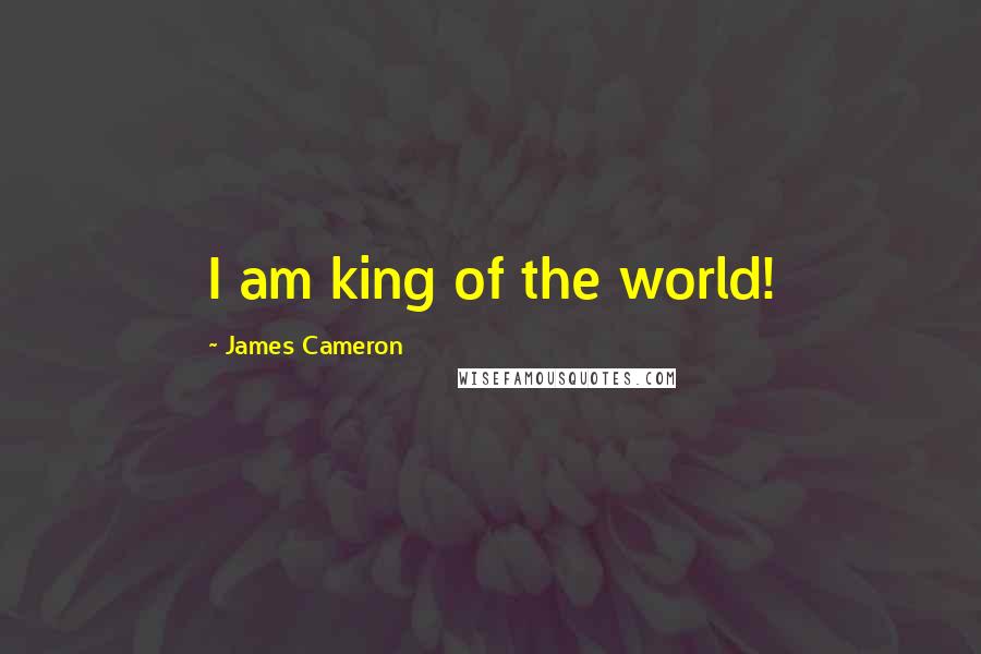 James Cameron Quotes: I am king of the world!