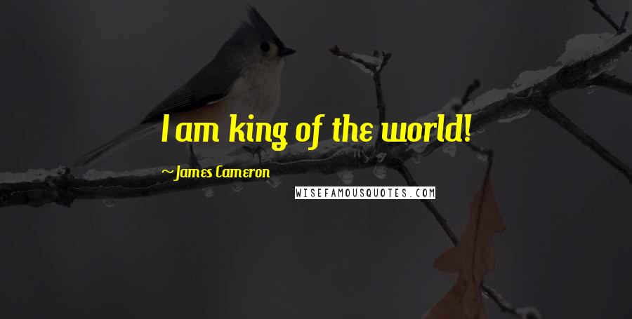 James Cameron Quotes: I am king of the world!