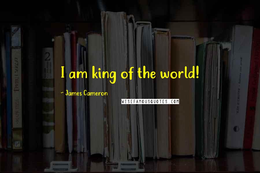 James Cameron Quotes: I am king of the world!
