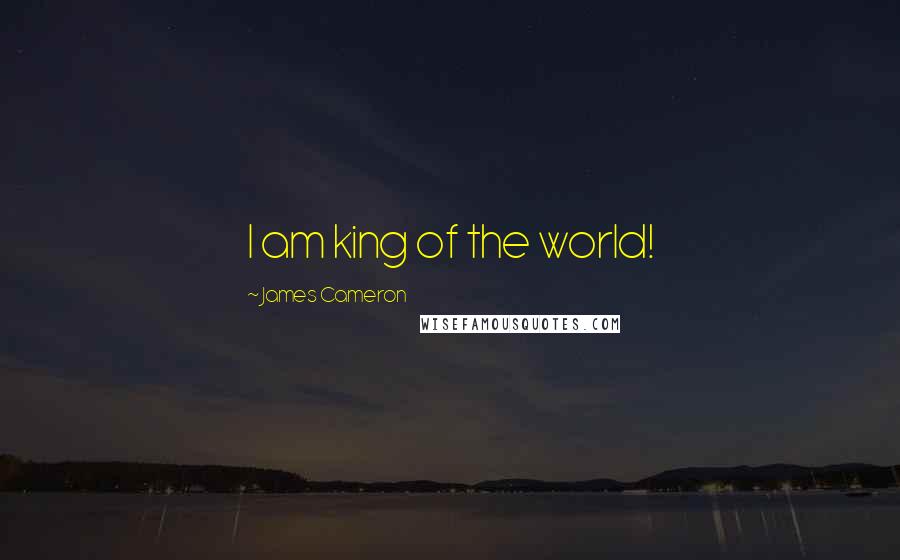 James Cameron Quotes: I am king of the world!